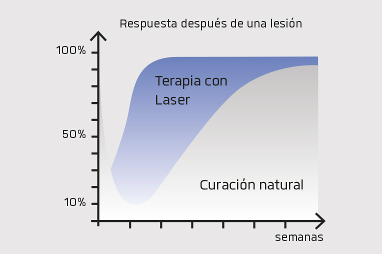 Analisis de la recuperación de una lesión con láser